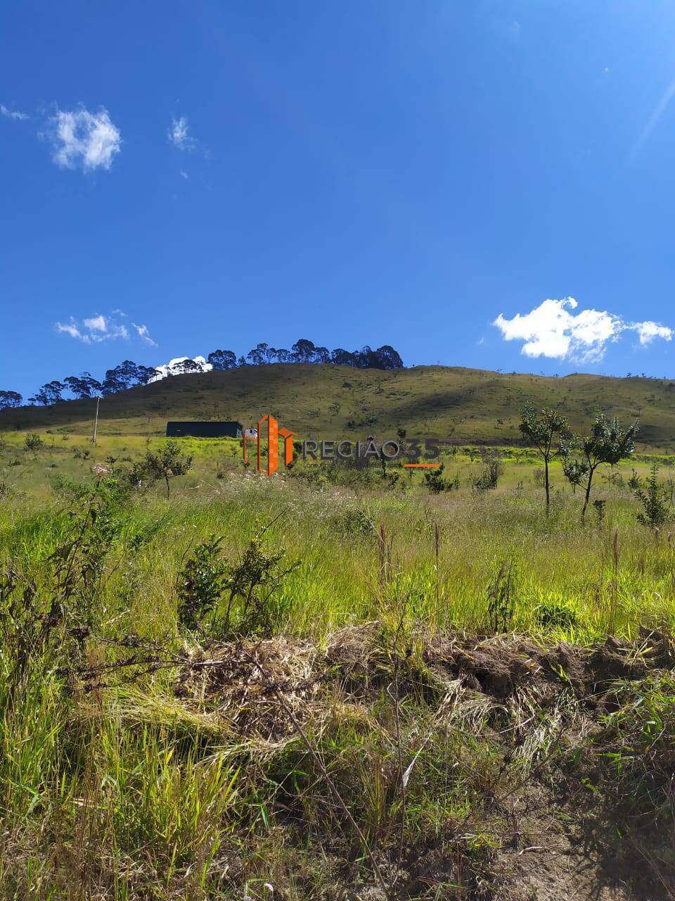 Terreno à venda, 28000m² - Foto 2