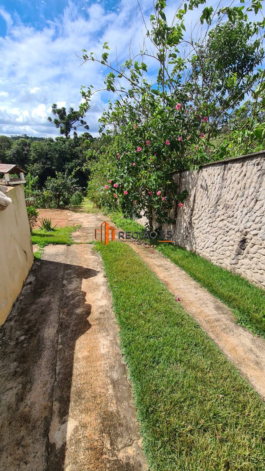 Fazenda à venda com 2 quartos, 82m² - Foto 19