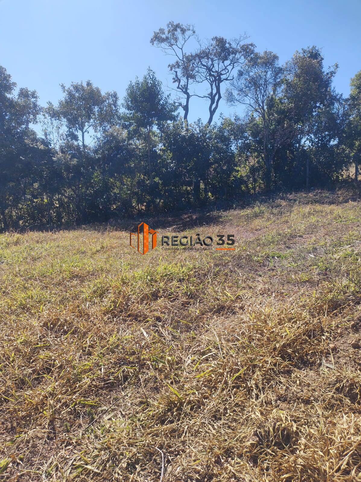 Terreno à venda, 1600m² - Foto 4