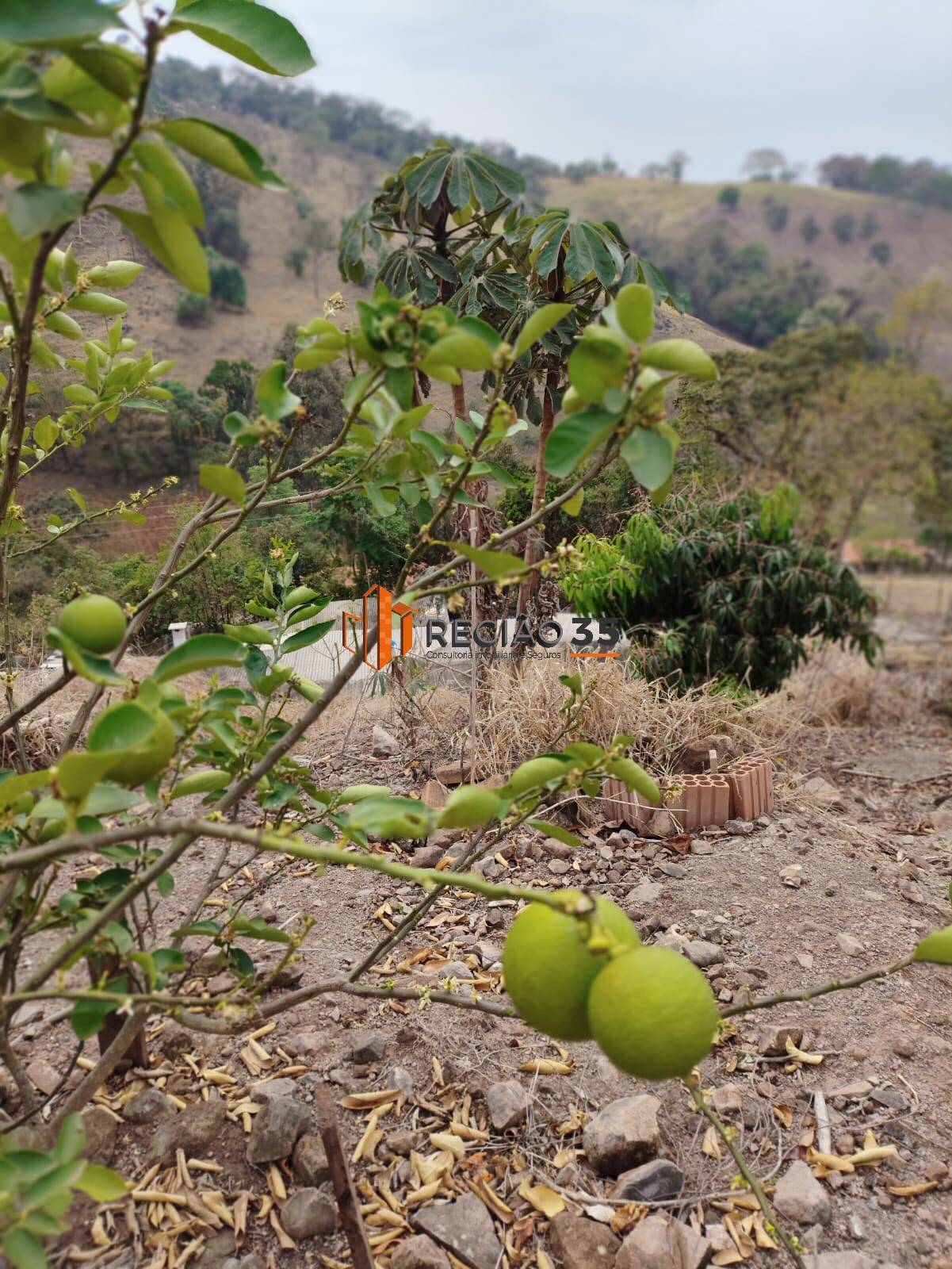 Fazenda à venda com 4 quartos, 146m² - Foto 32