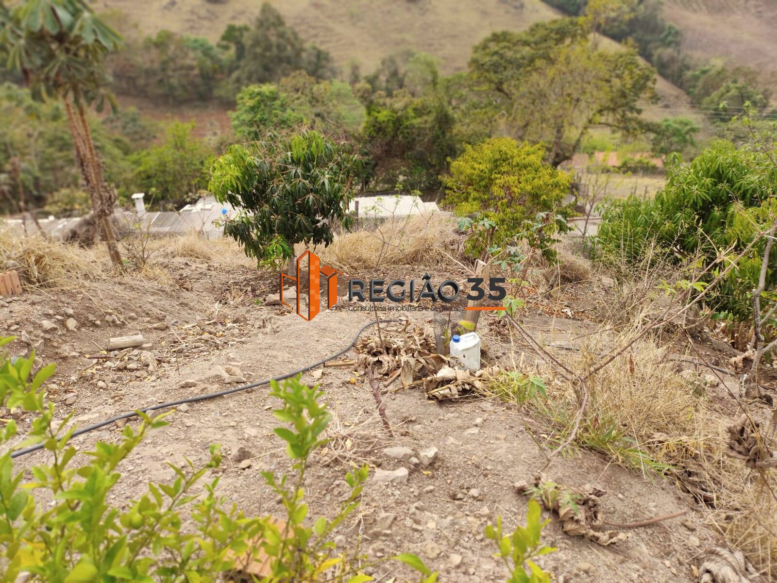 Fazenda à venda com 4 quartos, 146m² - Foto 43